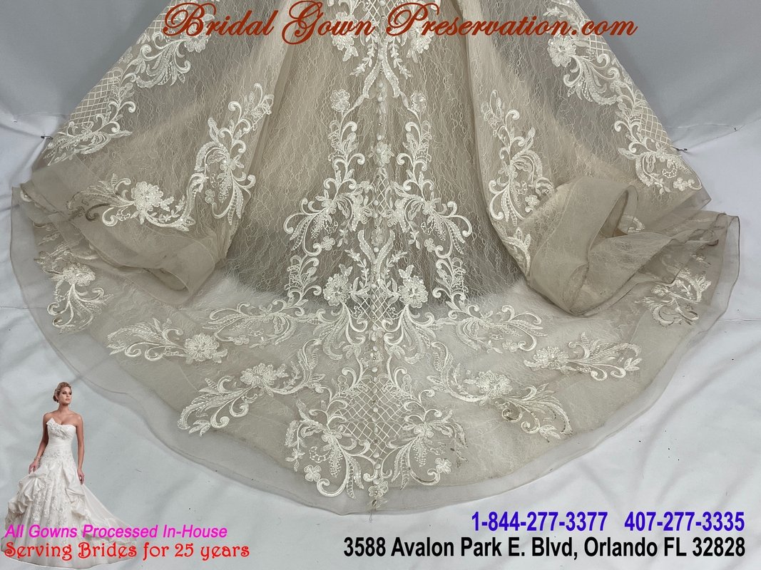 Wedding Gown Cleaning, Preservation, Restoration 59519