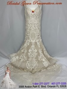 Wedding Gown Cleaning, Preservation, Restoration 59519